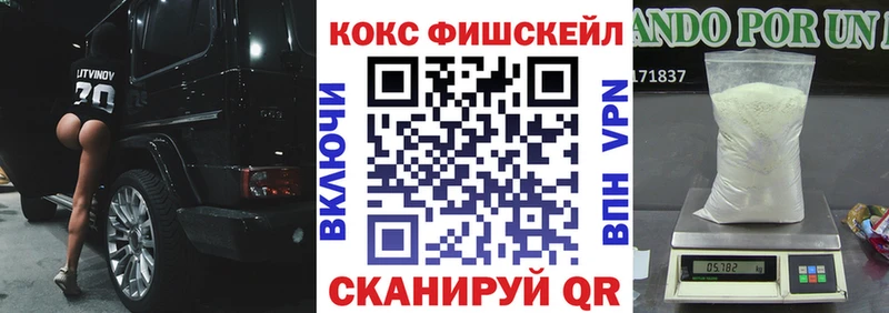 Cocaine FishScale  Купить закладки  Оленегорск 