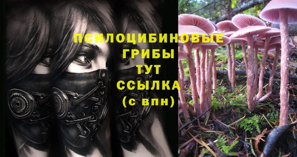 MDMA Premium VHQ Кулебаки